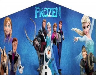 frozen banner bounce house
