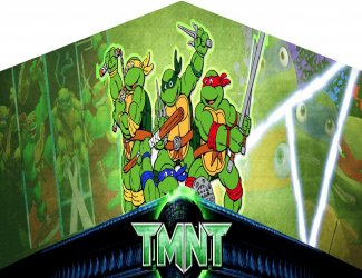 ninja turtles banner bounce house